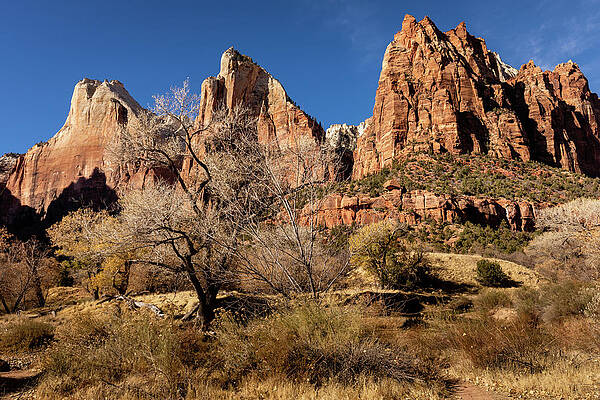Desert Photograph - Court Of The Patriarchs #1 by Craig A Walker