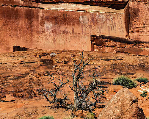Alien Photograph - Courthouse Wash Panel, Utah #1 by Abbie Warnock