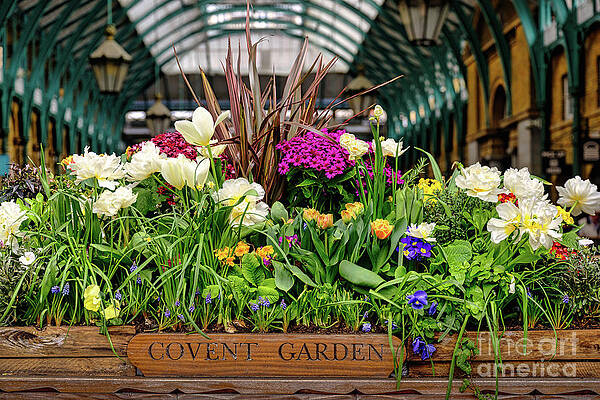 Garden Photograph - Covent Garden Market London England #1 by Abigail Diane Photography