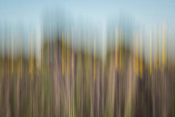 Photograph - Dance Of Nature 2 by Charnwood Photography Fine Art