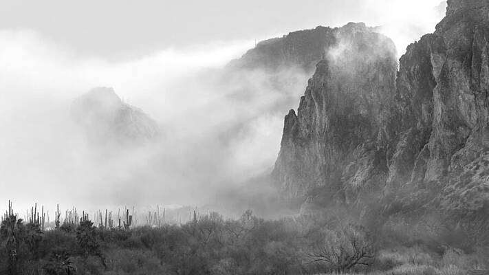 Arizona Photograph - Desert Fog. #1 by Paul Martin