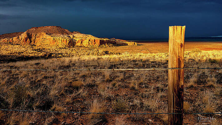 Wall Art featuring the photograph Desert Light #1 by Howard Holley