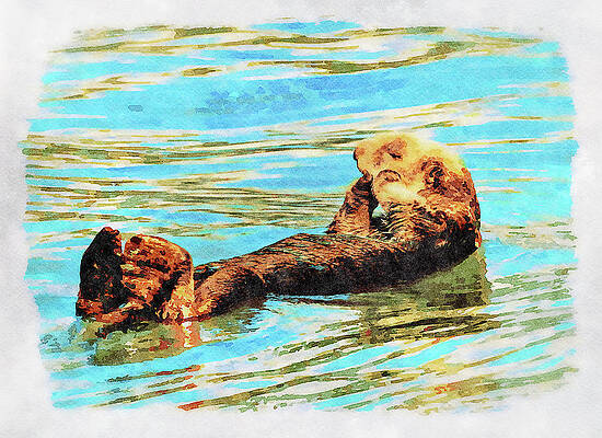 Wall Art featuring the photograph Digital Watercolor Of Sea Otter Floating In The Sea #1 by Steven Heap
