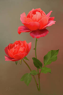 Photograph - Digitally Painted Roses #1 by Sue Leonard