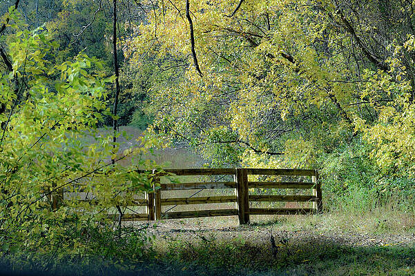 Wall Art featuring the photograph Don't Fence Me In #2 by Bonnie Colgan