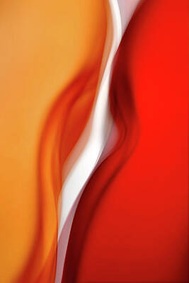 Wall Art featuring the photograph Duet by Ursula Abresch