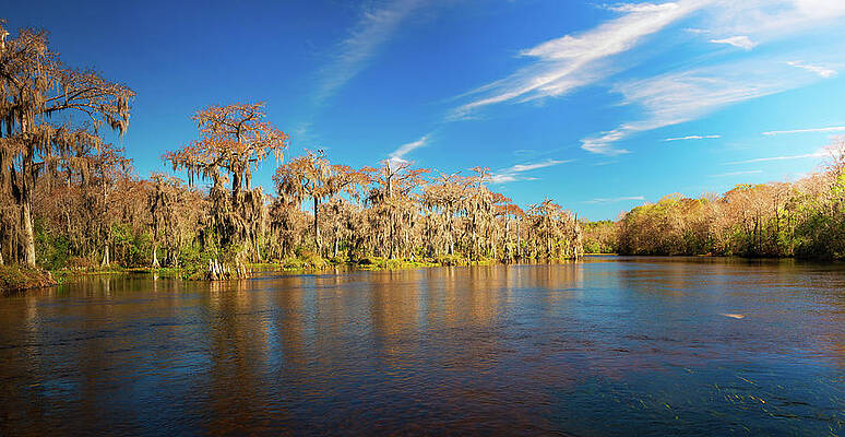 Sky Photograph - Edward Ball Wakulla Springs State Park, Florida #1 by Miroslav Liska