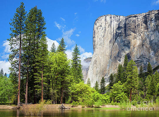 Dramatic Photograph - El Capitan, Yosemite National Park, California, USA by Neale And Judith Clark