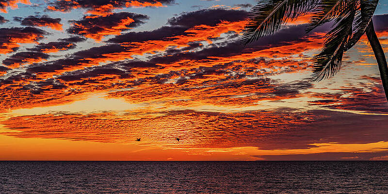 Sunset Wall Art featuring the photograph Epic Sunsets Mazatlan Mexico #1 by Tommy Farnsworth
