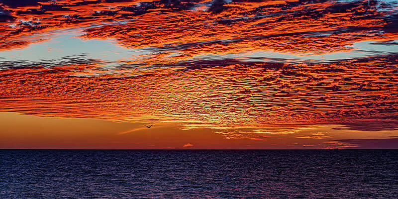 Sunset Wall Art featuring the photograph Epic Sunsets Mazatlan Sinaloa Mexico #1 by Tommy Farnsworth
