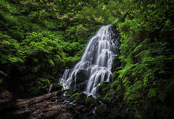 Moody Photograph - Fairy Falls, Oregon - Full View #1 by Abbie Warnock
