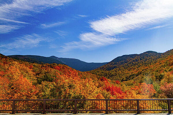 Tree Photograph - Fall In The Mountains Of New Hampshire #2 by NorthEast Creativity