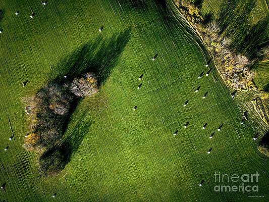 Foliage Photograph - Aerial View Of A Field In Addison Vermont by Eric Killorin