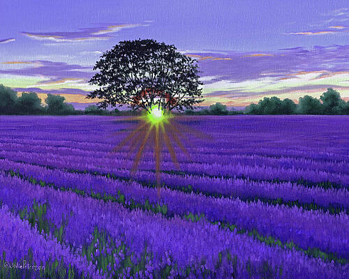 Lavender Wall Art for Sale by Julie Peterson