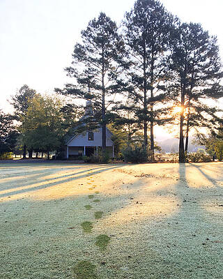 Inspirational Photograph - Footprints In The Dew #2 by Greg Lane