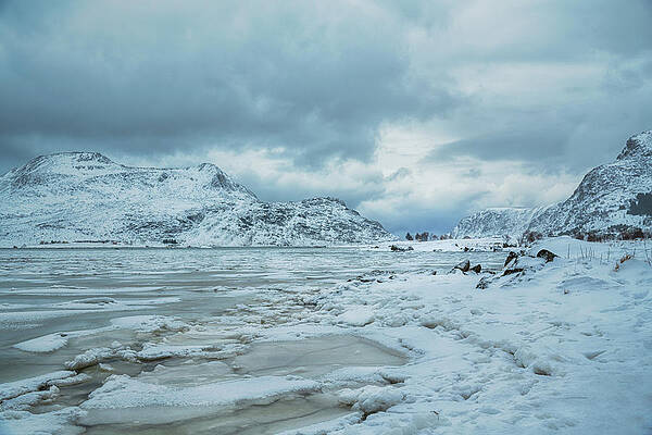Winter Wall Art featuring the photograph Fjord's Snowy Banks by Charnwood Photography Fine Art