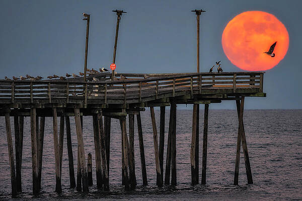 Pier Photograph - Full Beaver Moon VA #2 by Susan Candelario