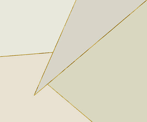 Wall Art featuring the digital art Geometry In Shades Of White With Gold Lines #1 by Alison Frank