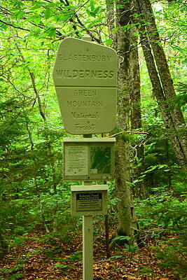 Wilderness Wall Art featuring the photograph Glastenbury Wilderness Spring Green 6 #1 by Raymond Salani III