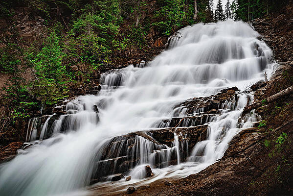 Gloria Falls Front View, Utah by Abbie Warnock