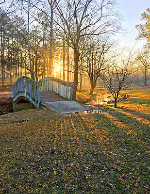 Morning Wall Art featuring the photograph Golden Morning Bridge #1 by Greg Lane