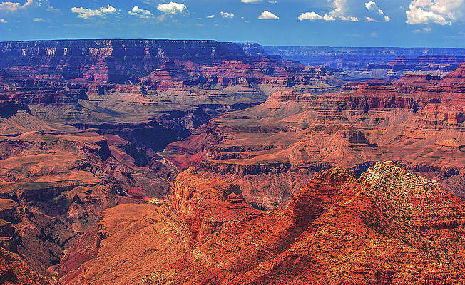 Wall Art featuring the photograph Grand Canyon Summer, Comanche Point, Arizona #1 by Abbie Warnock