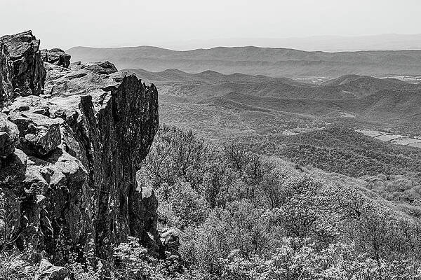 Virginia Photograph - Hawksbill Summit #1 by David Fountain