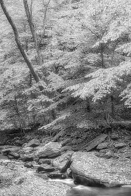 Monochromatic Photograph - Hedden County Park NJ BW #1 by Susan Candelario