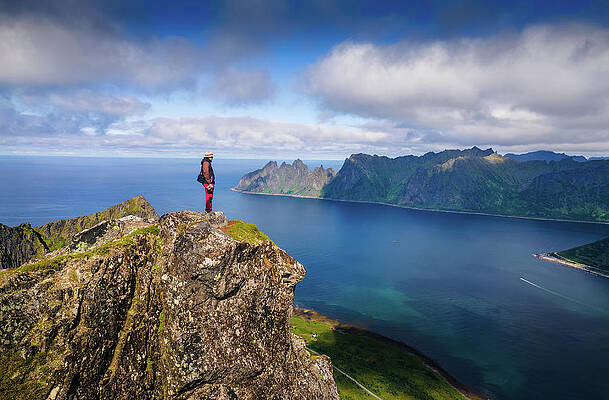 Wall Art featuring the photograph Hiker Standing On The Top Of Husfjellet Mountain On Senja Island In Norway #3 by Miroslav Liska