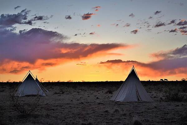 Cowboy Wall Art featuring the photograph Home On The Range #1 by Alden White Ballard
