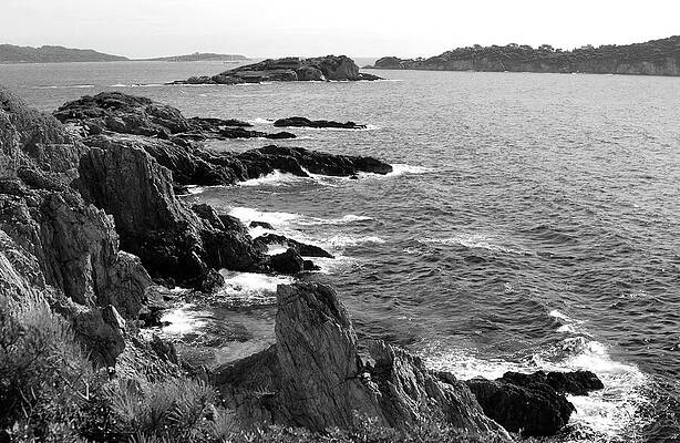 Hyeres, Giens, France, Mediterranean Sea, rocky coastline black and white by Severija Kirilovaite