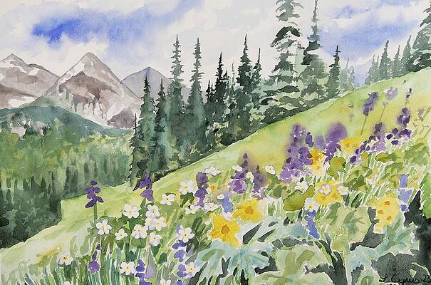 Wilderness Painting - Indian Peaks Summer Wildflowers #1 by Cascade Colors