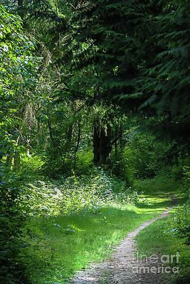 Nature Photograph - Nature's Invitation by D Lee