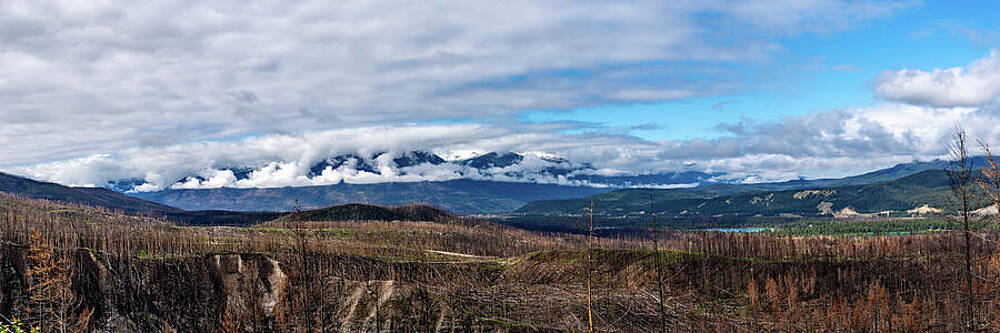Photograph - Jasper Alberta Canada One Year After Fires #1 by Tommy Farnsworth
