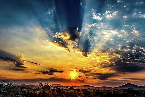 Sunrise Wall Art featuring the photograph Jungle Sunrise From Mazatlan Mexico #1 by Tommy Farnsworth