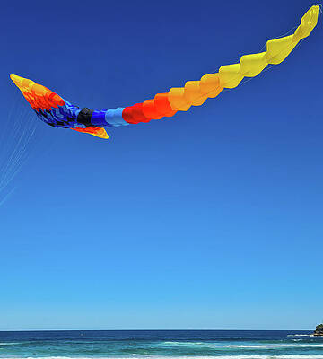 Summer Wall Art featuring the photograph Kite Festival No 8 #1 by Andre Petrov