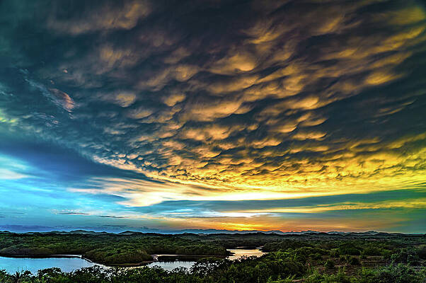 Sunrise Wall Art featuring the photograph Lagoon Sunrise Mazatlan Mexico #1 by Tommy Farnsworth