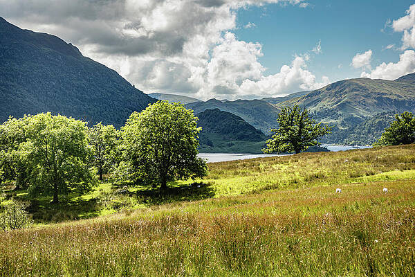 Photograph - Lake District View #1 by Francisco Ruiz Navas