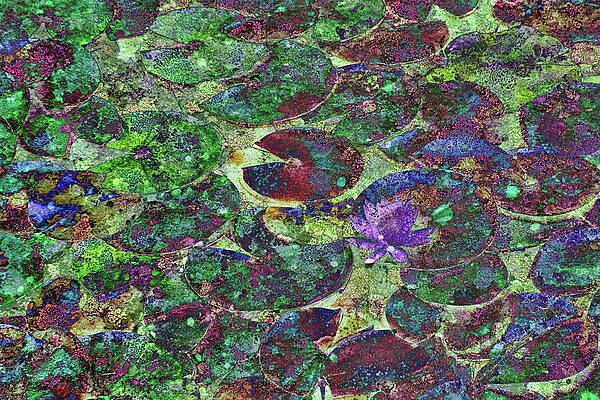 Wall Art featuring the digital art Lily Pond With Lichen Texture #1 by Bruce Block