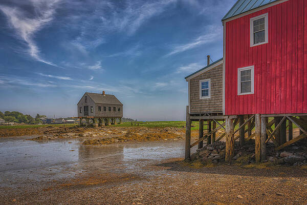 Wall Art featuring the photograph Low Tide In Porpoise Cove by Penny Polakoff