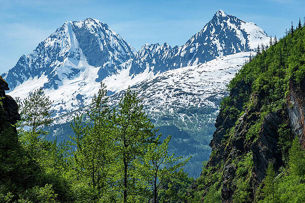 Wall Art featuring the photograph Majestic Mountains From Keystone Canyon Rise Over Trees #1 by Steven Heap