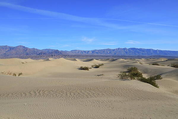 Mountain Wall Art featuring the photograph Mesquite Flat Sand Dunes #1 by Jonathan Babon