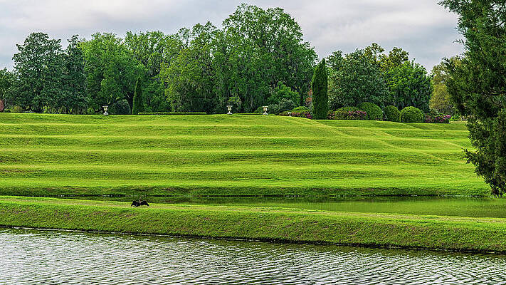 South Carolina Photograph - Middleton Plantation Landscape #1 by Louis Dallara