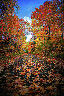 Wall Art featuring the photograph Minnesota North Shore Backroad In Autumn #1 by Adam Mateo Fierro