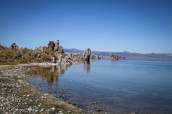 California Wall Art featuring the photograph Mono Lake 13 by Cindy Robinson