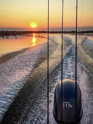 Wall Art featuring the photograph Morning Sunrise #1 by Lloyd Gillies