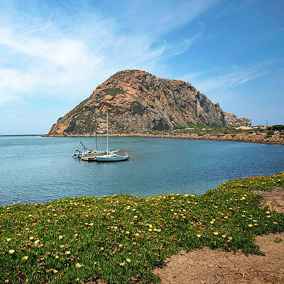 Wall Art featuring the photograph Morro Rock #2 by Matthew DeGrushe