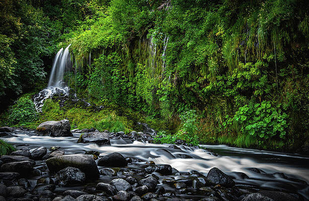 Moody Photograph - Mossbrae Falls Full View, California #1 by Abbie Warnock