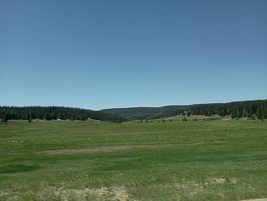 Serene Wall Art featuring the photograph Mountain Meadow #1 by Amanda R Wright