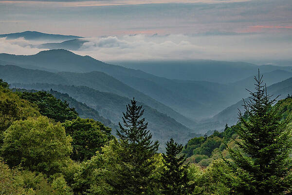 Wall Art featuring the photograph Mountains Mighty #1 by Marcy Wielfaert